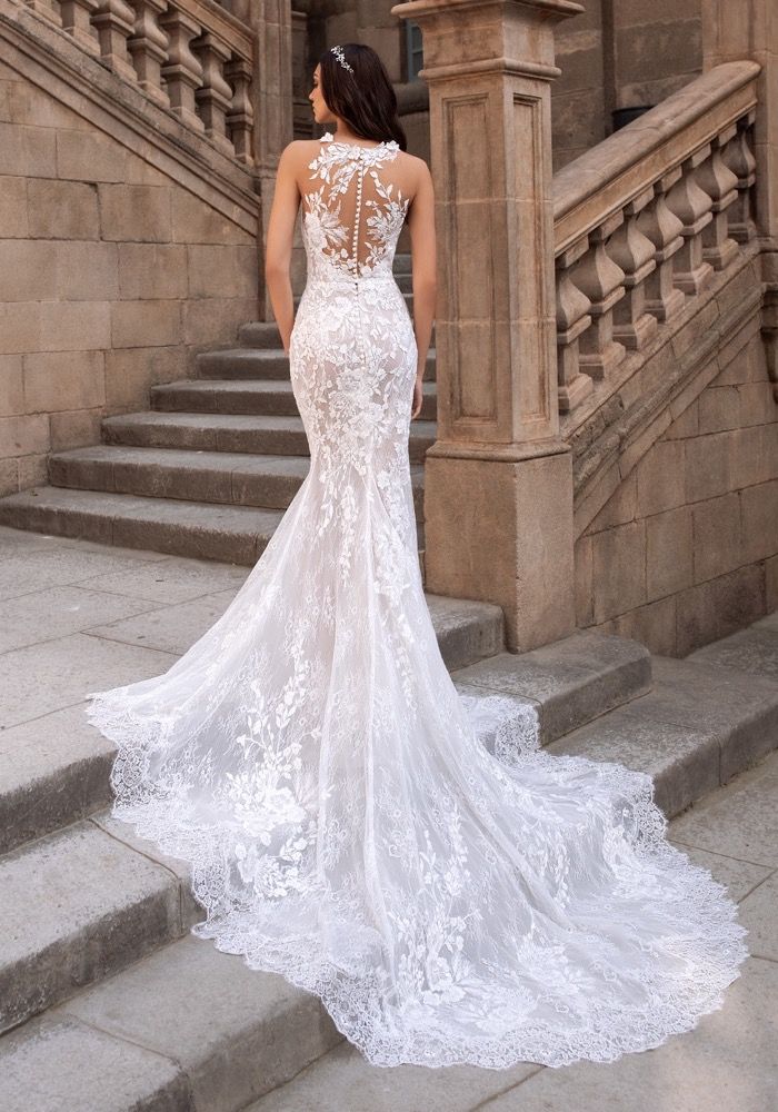 Pronovias | HATI Lace Wedding Dress with Sheer Back HK | Designer Bridal Room Pronovias | HATI Lace Wedding Dress with Sheer Back HK | Designer Bridal Room