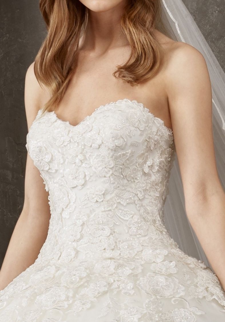 Pronovias 2025 privee 2019