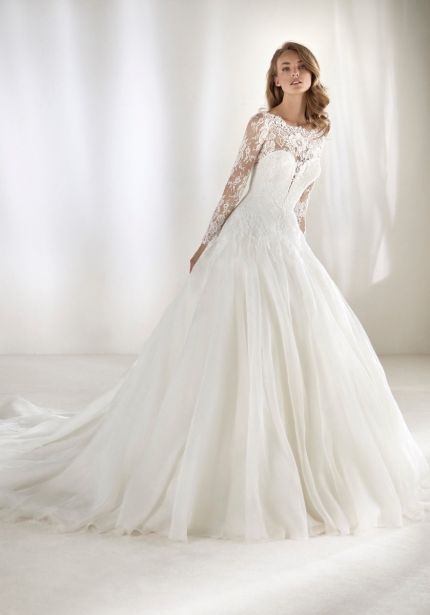 Embroidered Long Sleeves Organza Ball Gown