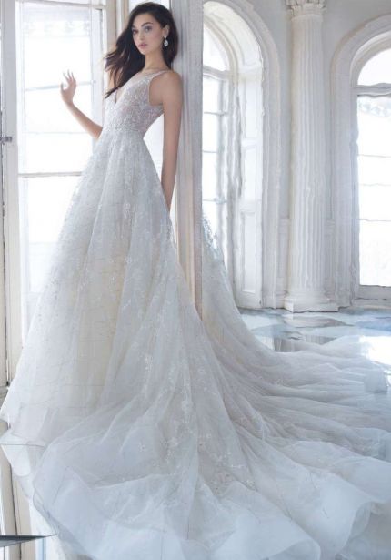 V-Neck A-Line Wedding Dress in Tulle